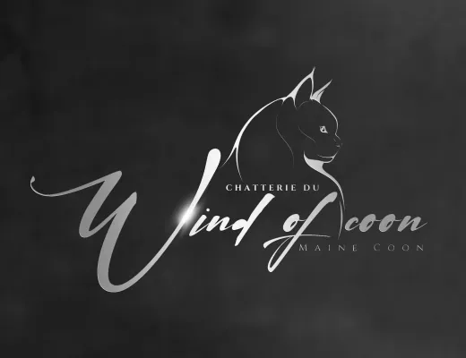 Chatterie du wind of coon