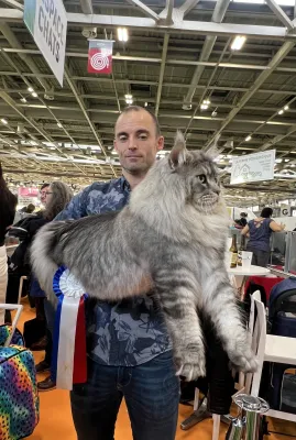 Chatterie du wind of coon